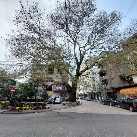 City Center Nr 4 * Szkodra