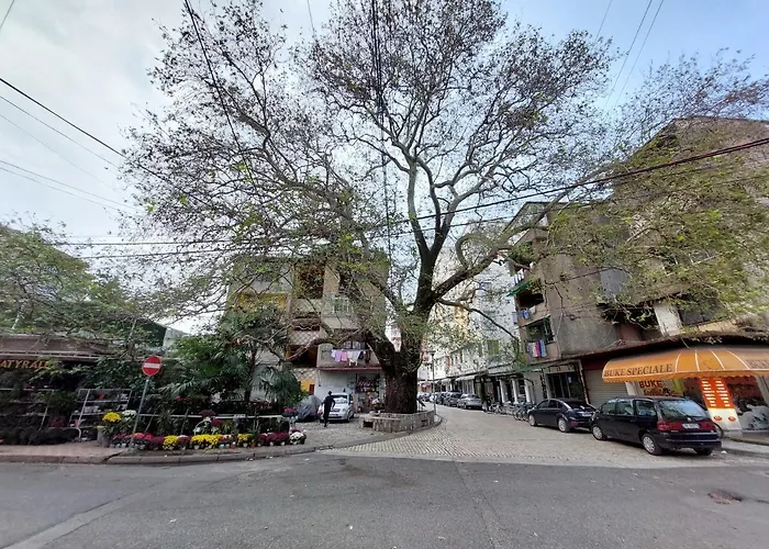 City Center Nr 4 * Szkodra